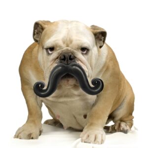Humunga Stache Mini - Image 2