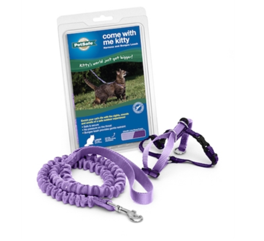 Come With Me Kitty Harness & Leash