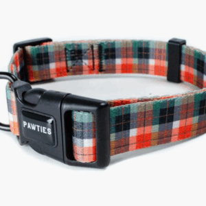 Ranger Dog Collar