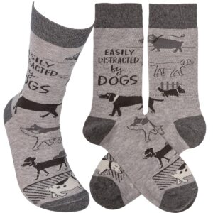 Socks - Distracted By Dogs