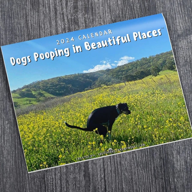 Dogs Pooping In Beautiful Places 2024 Calendar Wagabonz   37808945473c49951ebf459388fb1c6b73a7e95f0b5ba09d373dd2595ff63961.webp 