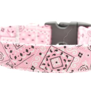 Pink Bandana Collar