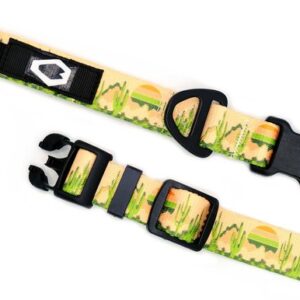 Euro Nylon Dog Collar Cactus