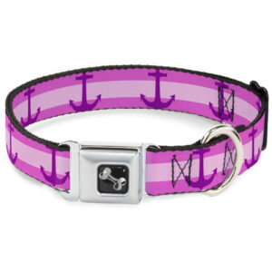Seatbelt Buckle Collar - Anchor/Stripe Pinks/Purple