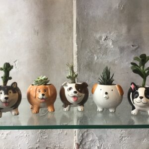 Puppy Pots