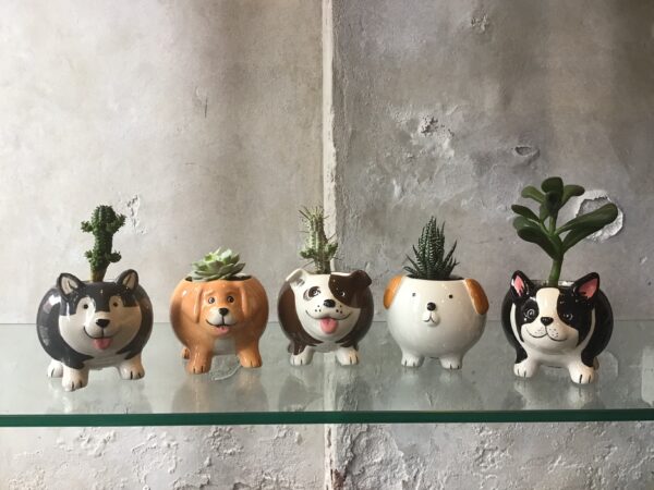 Puppy Pots