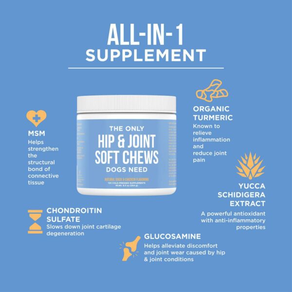 No- Hemp Hip and Joint Soft Chews