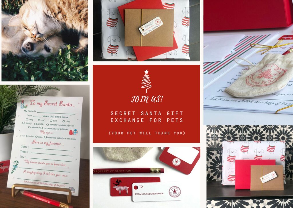 Pastel Aesthetic Modern Family Photo Collage Christmas Card - 1