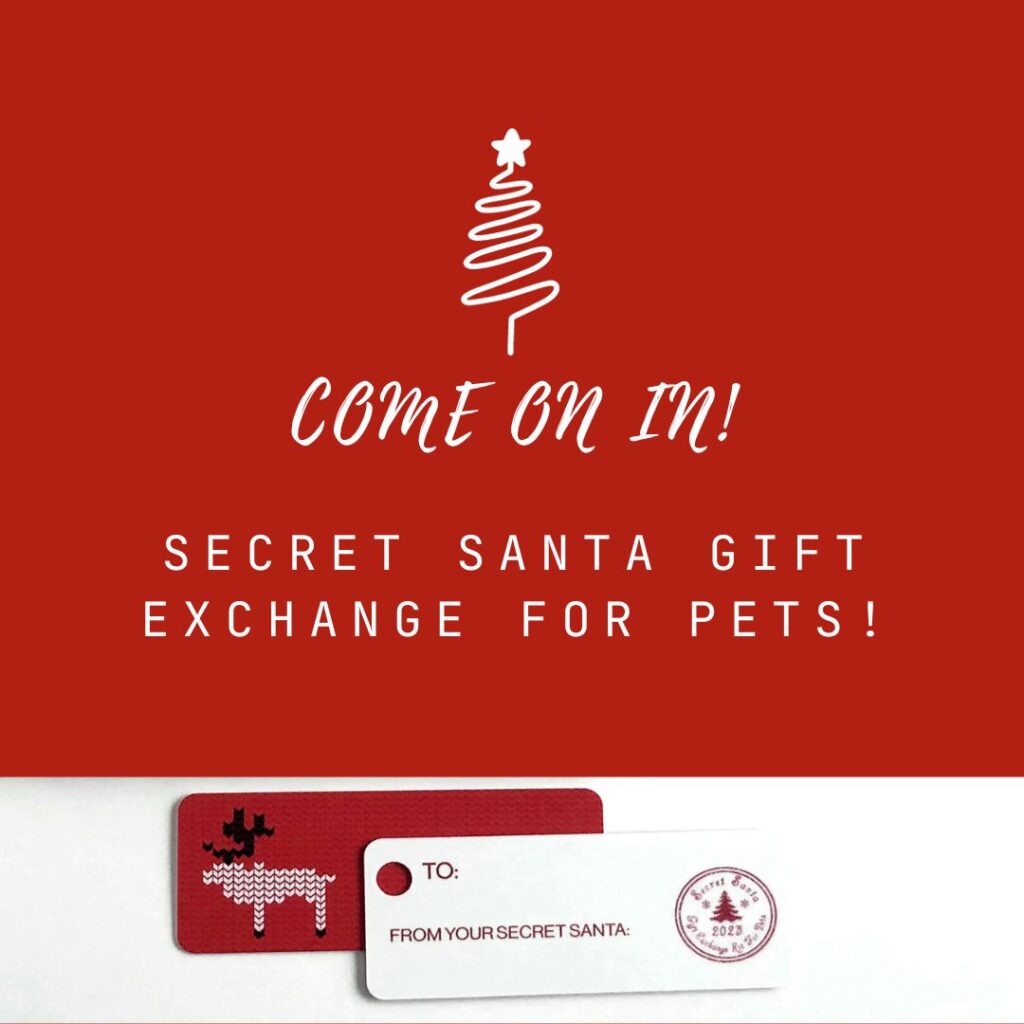 xr:d:DAFy2ZNzi8o:5,j:8792560127468952666,t:23103117