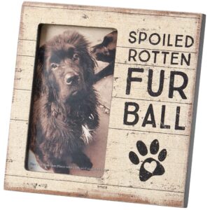 Photo Frame - Spoiled Rotten Fur Ball