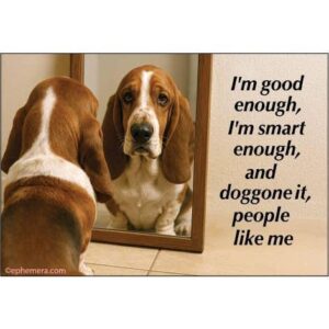 Magnet: I'm Good Enough, I'm Smart Enough, Doggone It….