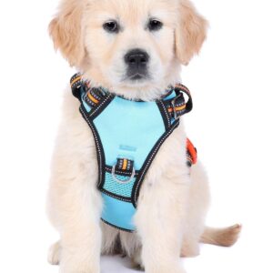 Neotech Harness