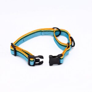 Euro Dog All Nylon Martingale Dog Collar - Forest Lake
