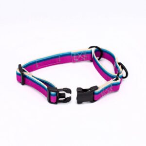 Euro Dog All Nylon Martingale Dog Collar - Raspberry