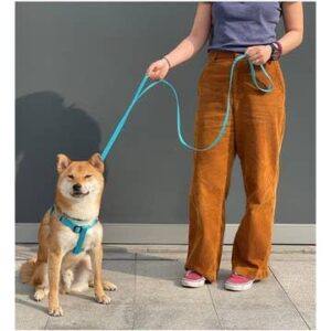 Double Handle Nylon Dog Leash