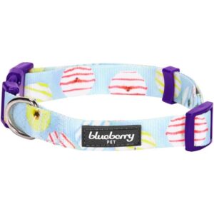 Spring Sunny Stroll Dog Collar