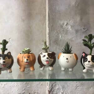 Puppy Pots