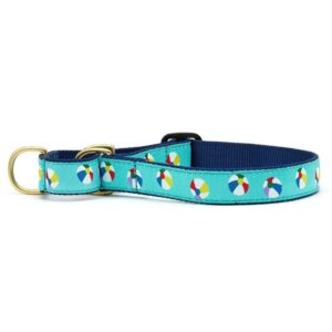 Beach ball martingale dog collar