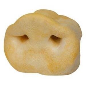 Puffy Pig Snouts