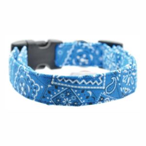 blue bandana collar