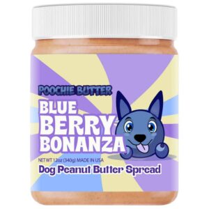 Blueberry peanut butter